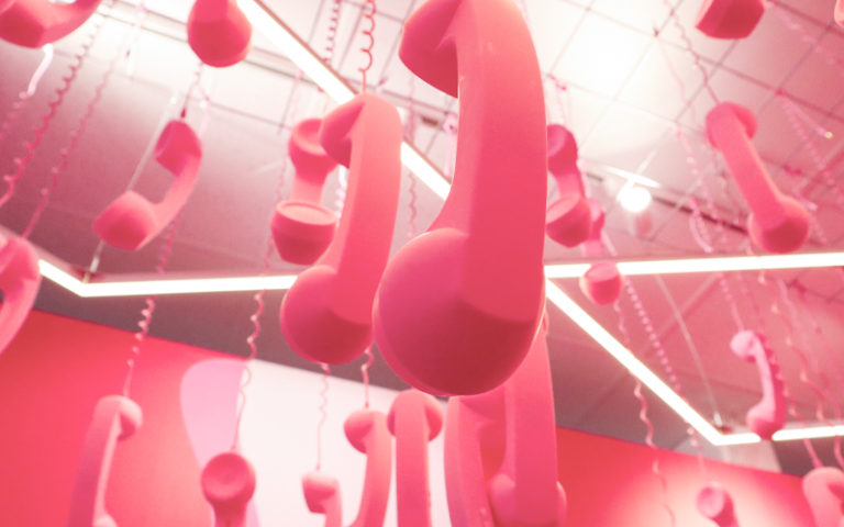 Deel uitmaken van Kaleido Care: de moeilijke momenten, de beloningen, en het plezier.